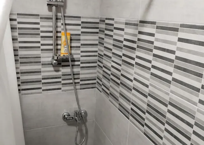 Lori * ベオグラード