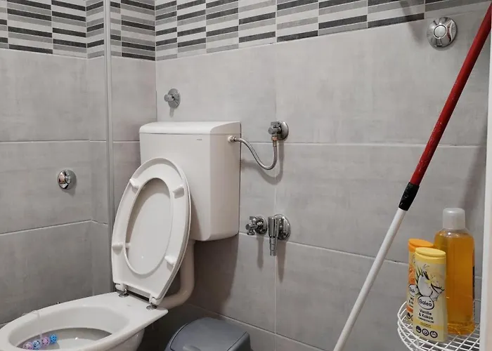 Lori * ベオグラード